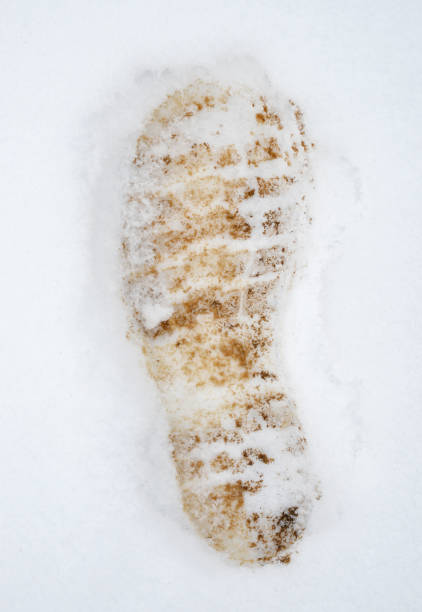 istock a shoe trail in the snow 1199395637