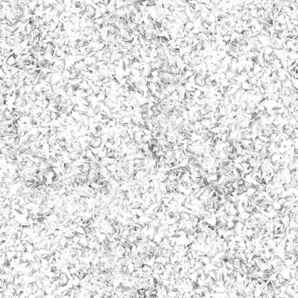 istock The ground is covered with dry foliage in white .Texture or background. 1199399520