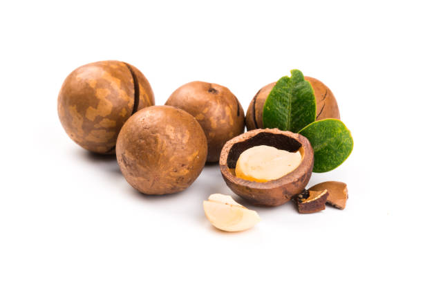 istock Inshell macadamia nuts with leaves isolated on white background. 1199400662