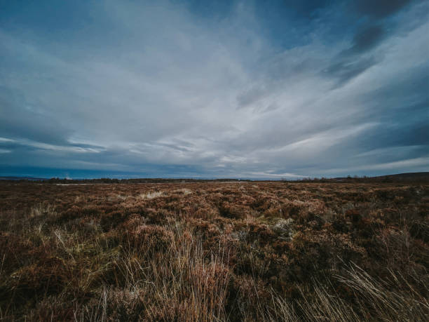 Culloden Battlefield Culloden Battlefield on a winter’s morning battlefield photos stock pictures, royalty-free photos & images