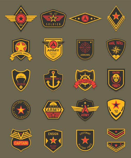 ilustraciones, imágenes clip art, dibujos animados e iconos de stock de parches militares, galones del ejército, escudos de las fuerzas aéreas - wing artificial wing coat of arms vector