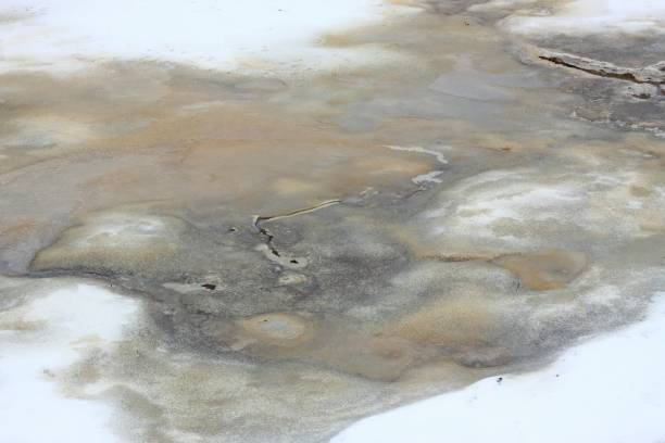 istock Drying out lake bed in the winter 1199407475