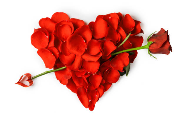 istock Rose petals heart with arrow 1199409269