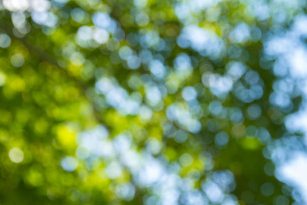istock Natural green bokeh abstract background 1199409671