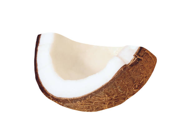 istock Coconut piece isolated on white 1199414745
