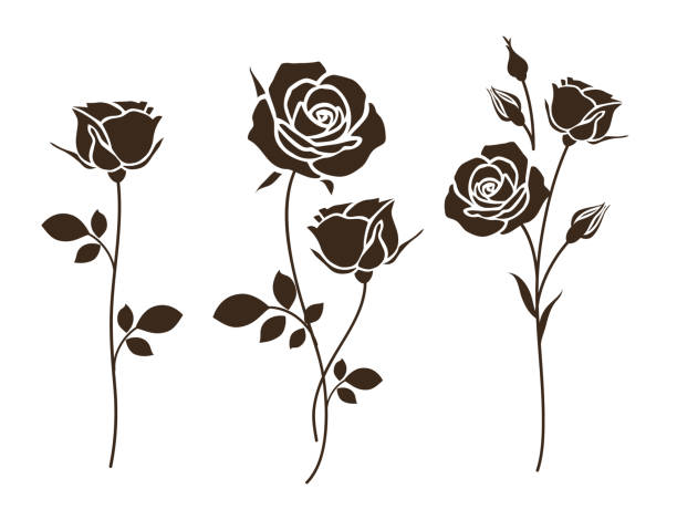 satz von dekorativen rose mit blättern. blume silhoutte. - rose stock-grafiken, -clipart, -cartoons und -symbole