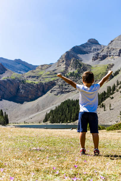 istock Lonely boy in a meadow looking the mountains 1199418011