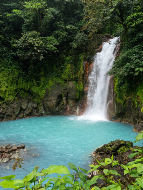istock Waterfall in Rio Celeste Costa Rica 1199419430