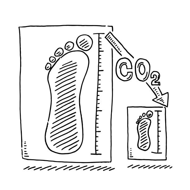 Reduction Of The Carbon Footprint Drawing Hand-drawn vector drawing of a Graph of the Reduction Of The Carbon Footprint. Black-and-White sketch on a transparent background (.eps-file). Included files are EPS (v10) and Hi-Res JPG. co2 drawings stock illustrations