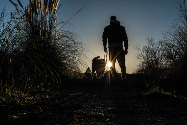 Silhouette of an adult and a dog at dusk