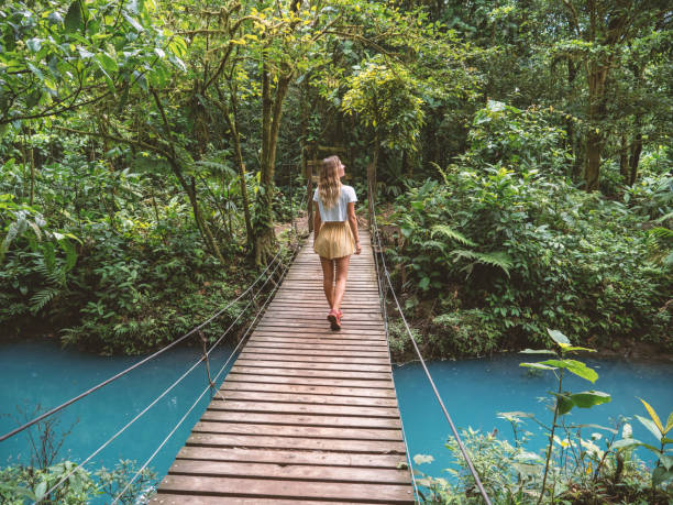 Young woman wandering in tropical rainforest walking on bridge over turquoise lagoon stock photo