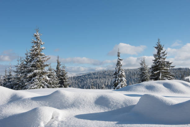 istock Alpine landscape with snow covered mountains and pine forest 1199422419