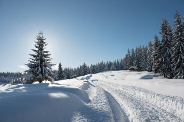 istock Alpine landscape with snow covered mountains and pine forest 1199422428
