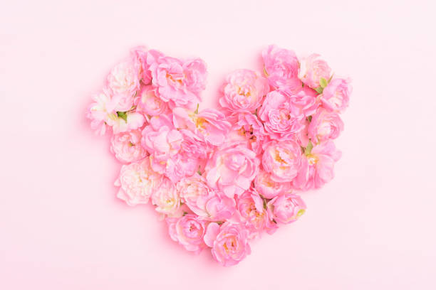 istock Pink roses flower (heart shape) 1199424169