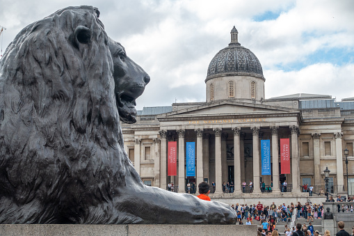 June 10, 2017 - London, United Kingdom: Lion statue in trafalgar square, London
