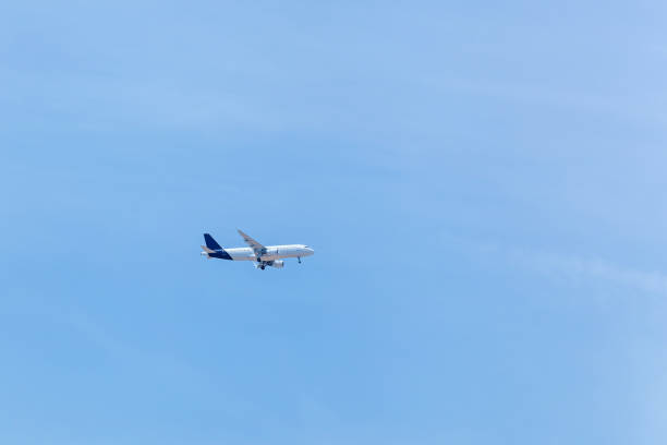 istock The plane is flying in the blue sky 1199425825