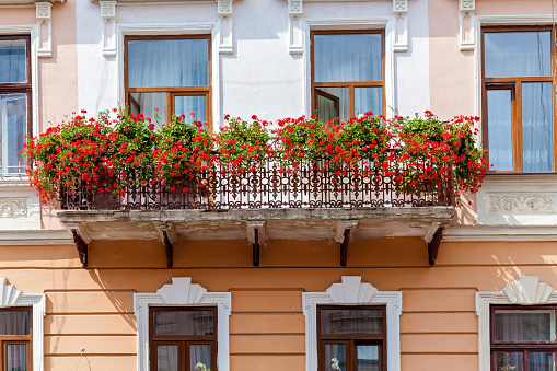 The exterior of the facade of a residential house with big windows. Red small flowers growing on the balcony of a modern building.