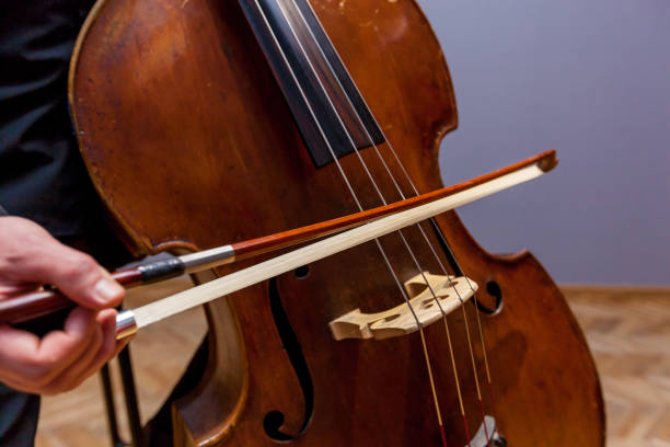 istock A man playing on a double bass 1199426140