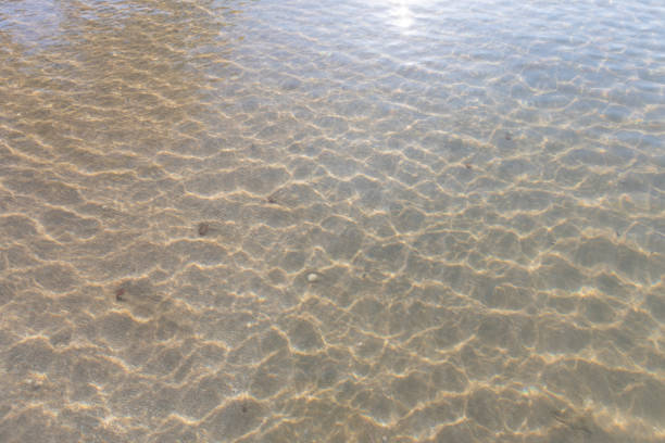 Texture pattern of blue ocean water and bright ripple water and surface transparent and sunlight In the morning. Background sea top view