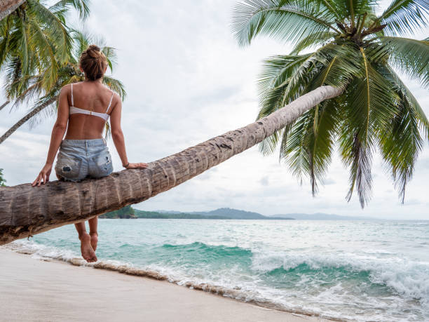 istock Young woman sitting on palm tree on tropical beach 1199427211