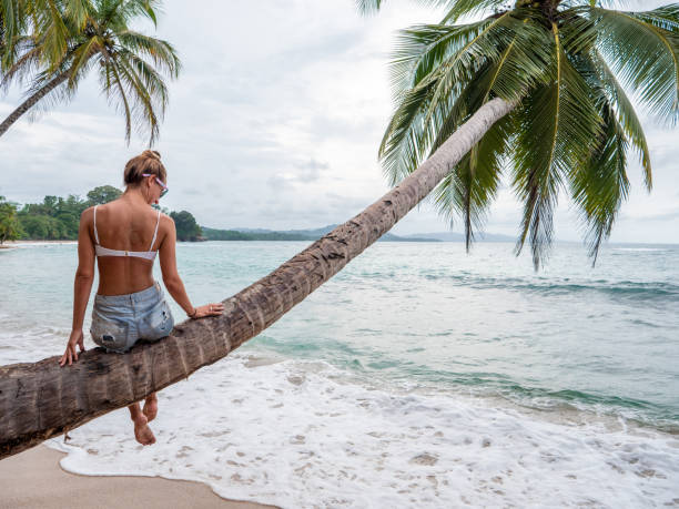 istock Young woman sitting on palm tree on tropical beach 1199427285