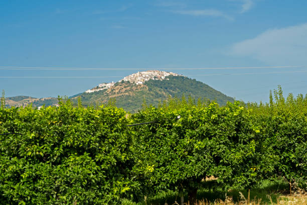 istock View of Rotondella, Basilicata, Italy 1199427419