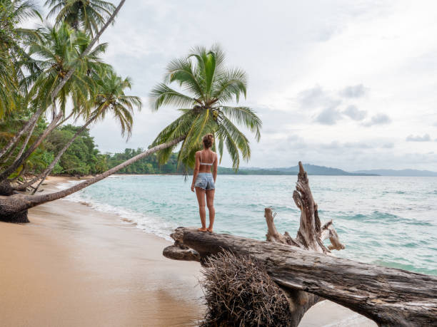istock Young woman standing on tree trunk on tropical beach 1199427717