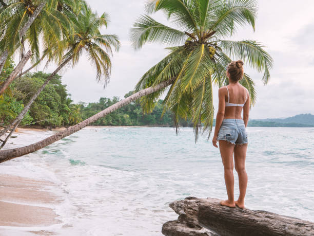istock Young woman standing on tree trunk on tropical beach 1199428612
