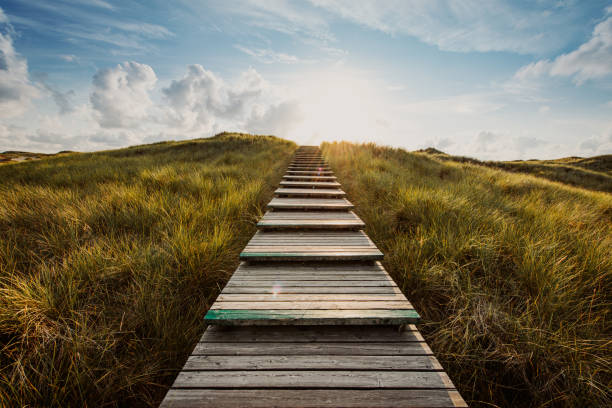 Way through the dunes Boardwalk through the dunes, Amrum, Germany german north sea region stock pictures, royalty-free photos & images