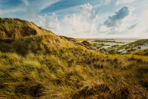 kust landschap eiland amrum - duitse noordzeekust stockfoto's en -beelden