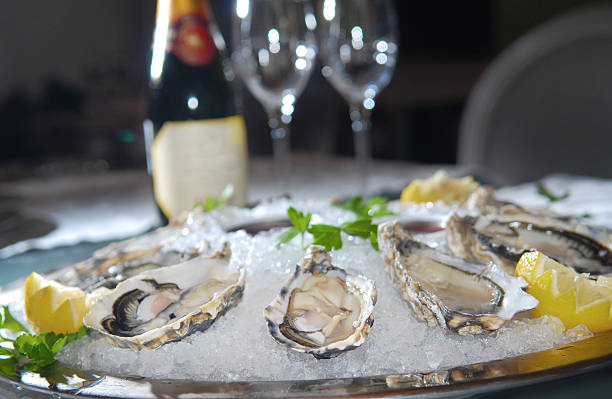 Oysters in ice