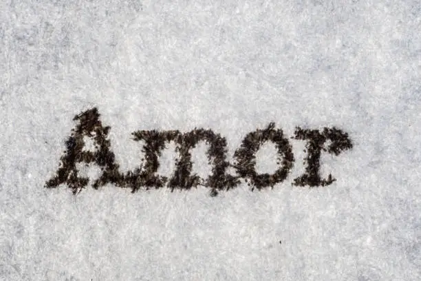 Photo of Extreme macro shot of the word Amor typed on white paper. Grungy textured bloody mood. French text