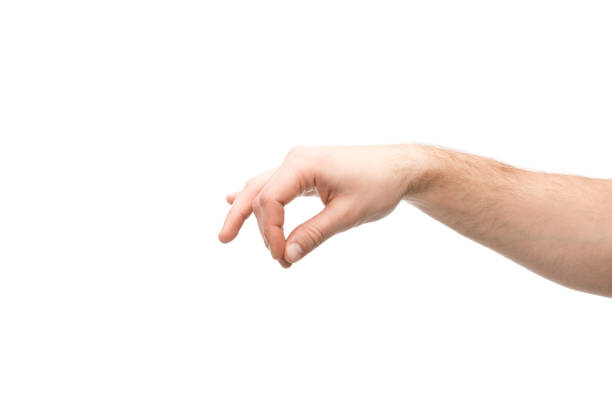 istock cropped view of man showing hold gesture isolated on white 1199433927