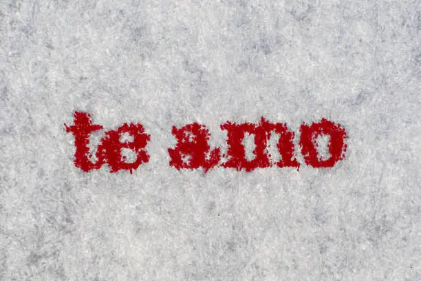 Photo of Extreme macro shot of the word te amo typed on white paper. Grungy textured bloody mood. Spanish text.