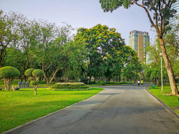 A jogging track in a garden of public park among greenery trees, shrub and bush, people wearing colorful T-shirt running on black asphalt concrete walkway under blue sky and sunshine morning, building on background in a good care maintenance landscapes una pista de jogging en un jardín de parque público entre árboles verdes, arbustos y arbustos, personas con camiseta de colores que corre en la pasarela de hormigón de asfalto negro bajo el cielo azul y la mañana del sol, construyendo sobre el fondo e