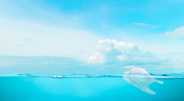istock Bag plastic water in sea water environmental protection 1199436129