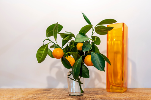 Bouquet of tangerine tree branches with berries in a vase on a wooden table