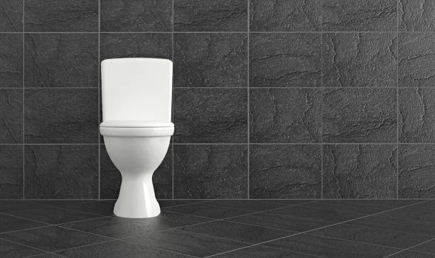 istock clean modern bathroom with white toilet and tiles 1199438204