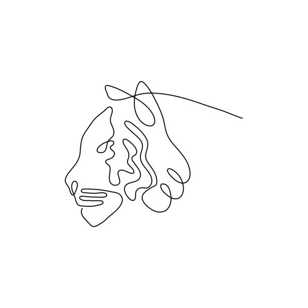 One Line Tiger Head Design Silhouette Hand Drawn Minimalism Style Vector  Illustration Stock Illustration - Download Image Now - iStock