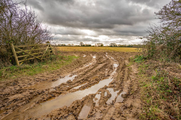 istock Muddy tracks leading in to crop field 1199440621