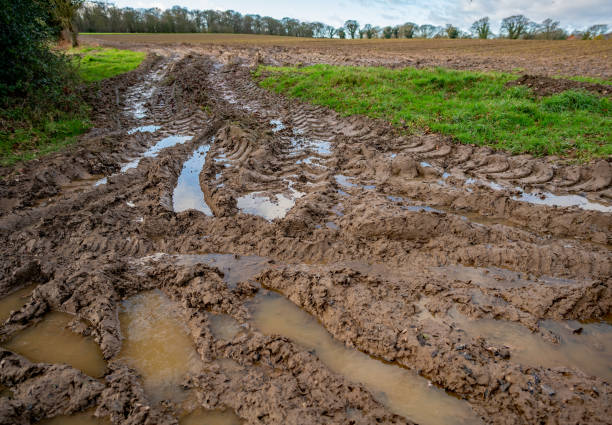 Muddy and water logged entrance to an arable field in the countryside in rural Norfolk