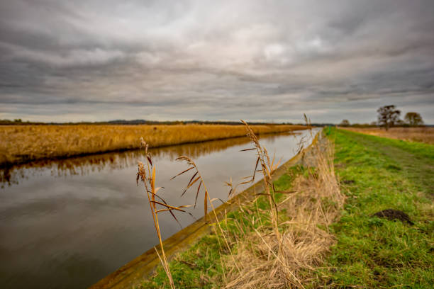 istock Dyke in the Norfolk contryside 1199442390