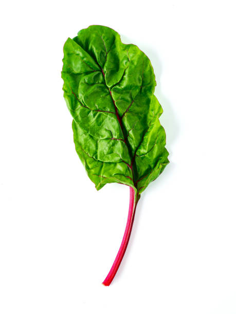 istock swiss rainbow chard isolated on white 1199442423