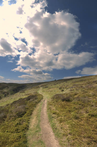 istock Generic path footpath rolling landscape walking hiking rambling trekking fitness exercise English Midlands UK sunlight lush green agricultural land farmland 1199444492