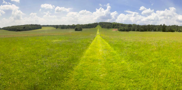 istock Generic path footpath rolling landscape walking hiking rambling trekking fitness exercise English Midlands UK sunlight lush green agricultural land farmland 1199444918