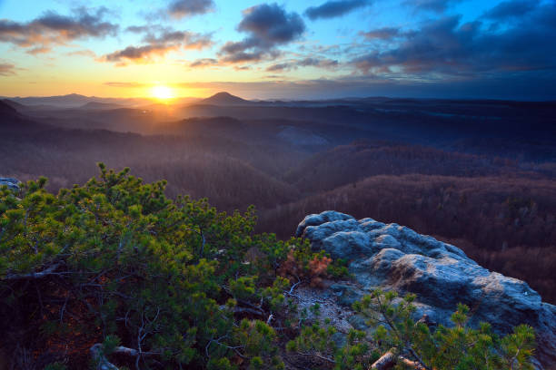 istock Rugged rocky terrain with broken pine trees overlooking mountains 1199445319