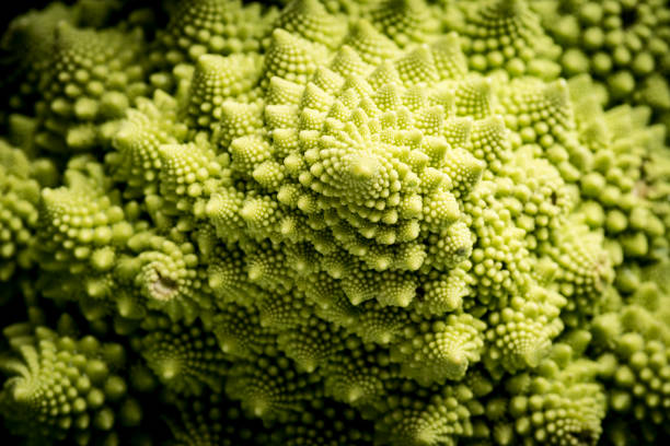 istock Close-up of a Romenesco 1199446280