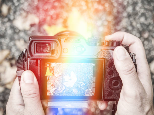 istock Hands with camera taking photos on leaves  background 1199446411