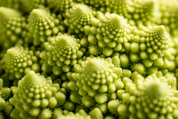 istock Close-up of a Romenesco 1199446714