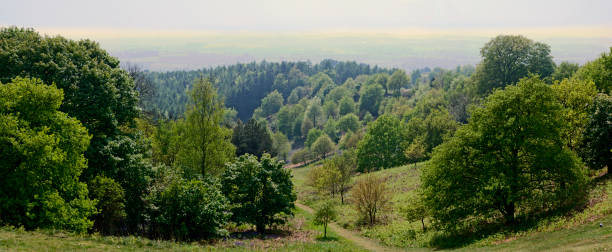 istock Generic path footpath rolling landscape walking hiking rambling trekking fitness exercise English Midlands UK sunlight lush green agricultural land farmland 1199447680